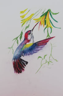 Colibri 2