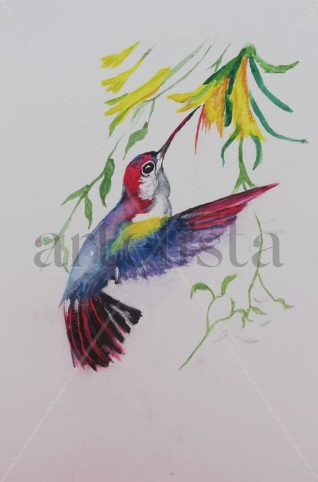 Colibri 2