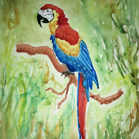 El loro guacamayo