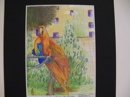 La guacamaya