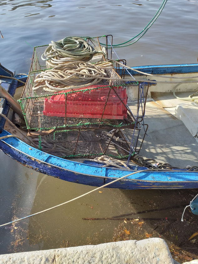 pescando