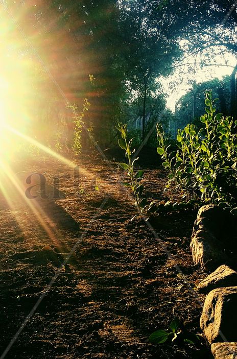 Amanecer