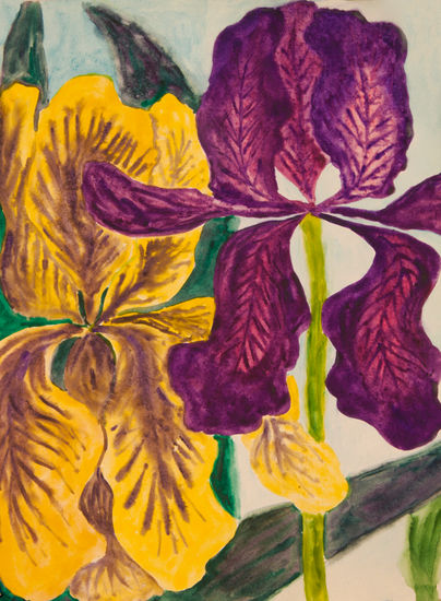 Two irises violet and yellow Acuarela Papel Floral