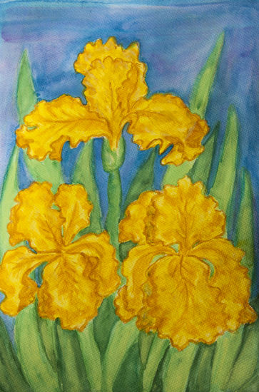 Three yellow irises Acuarela Papel Floral