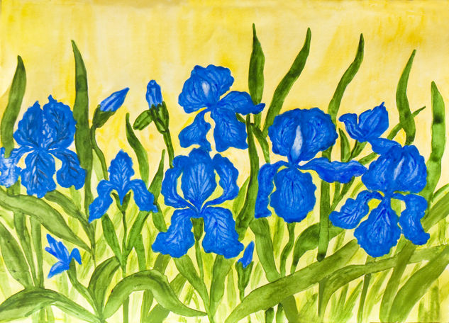 Blue irises Acuarela Papel Floral