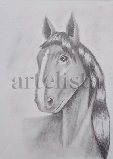 Caballo Graphite