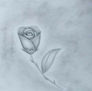 Pequeña rosa