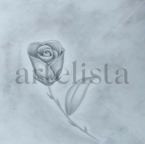 Pequeña rosa