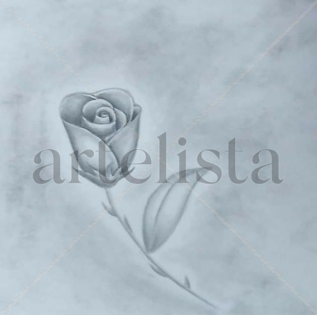 Pequeña rosa