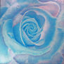 Anastasia Woron:"La Rosa de los Enamorados"-Óleo Original Firmado (73x73cm.)2022