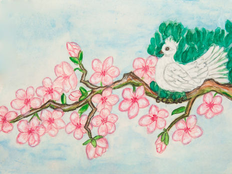 White bird on...