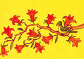 Bird on branch with orange flowers
