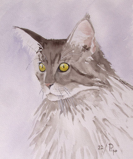 Gato cabreado