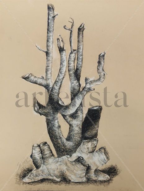 Abstracción I