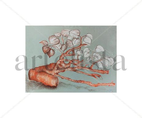 Abstracción II