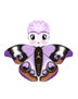 Serie moths