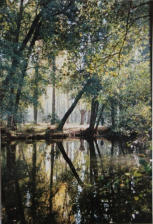 "Reflejos en el rio Agueda, Ciudad Rodrigo" Naturaleza Color (Química)