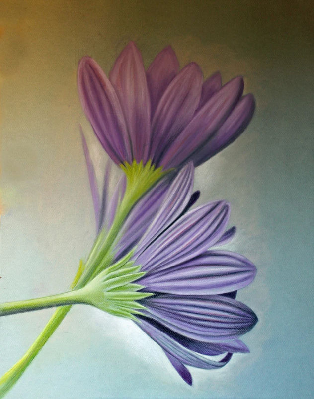 CUADRO DE GANZANIAS PINTADAS AL PASTEL. DIBUJO DE FLORES.