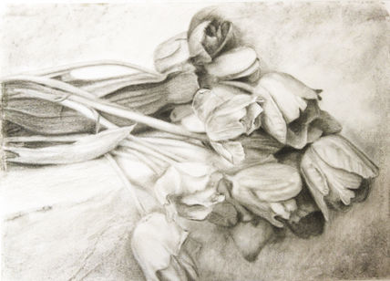 Dibujo de tulipanes.