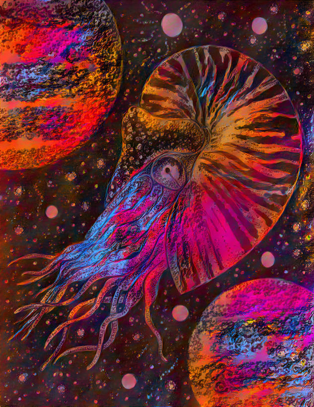 Nautiloid 002