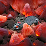 Diamantes de lava