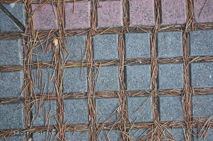 Entre lineas