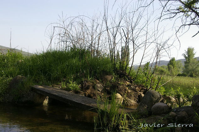 En el camino Naturaleza Color (Digital)