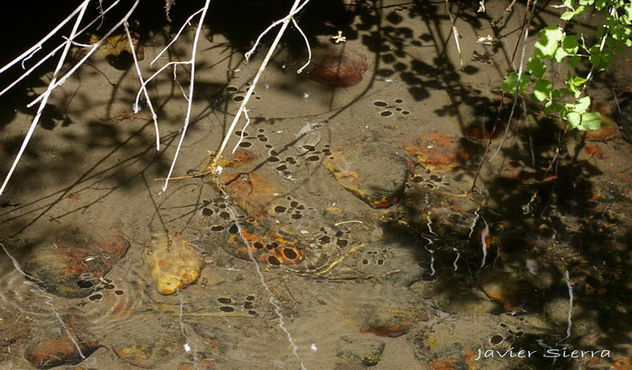 sobre el agua