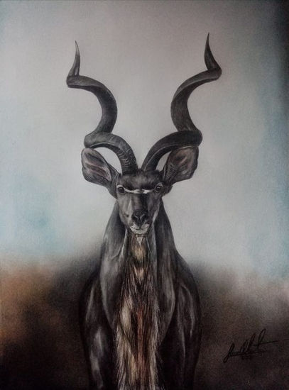 "Gran Kudu" Técnica Mixta