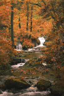 Otoño en Galicia.