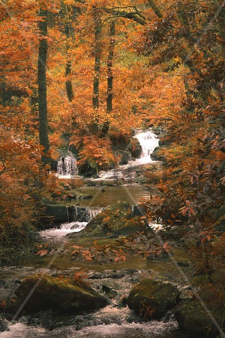 Otoño en Galicia.