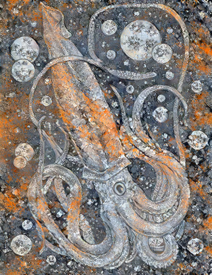Giant Squid 002