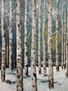 Bosque invierno