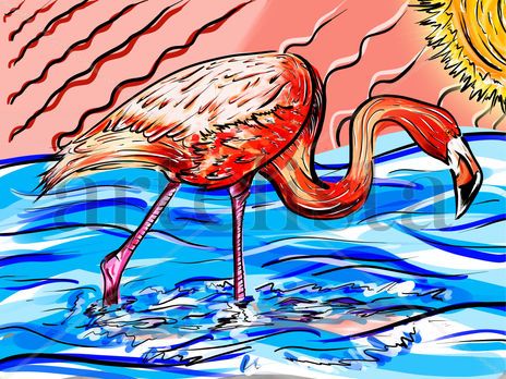 Flamingo