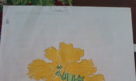 Paisaje