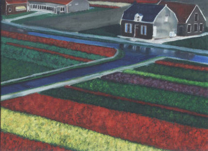 Colours of the Field