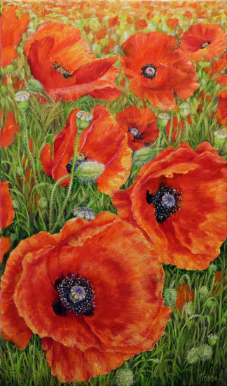 Amapolas Oil Canvas Landscaping