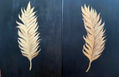 PLUMAS
