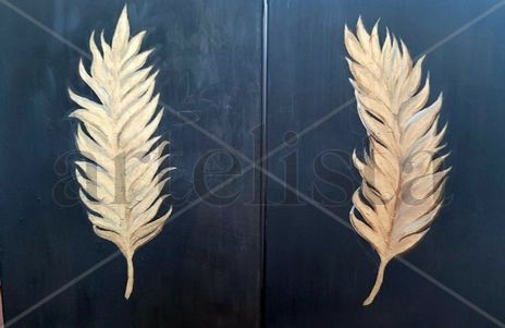 Plumas