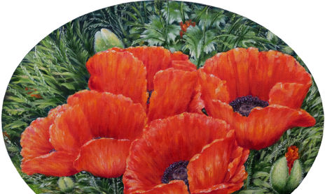 Amapolas