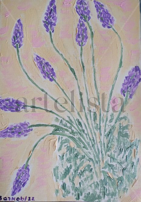 Lavanda