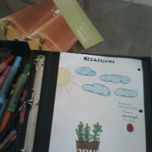 Animales thumbnail 1