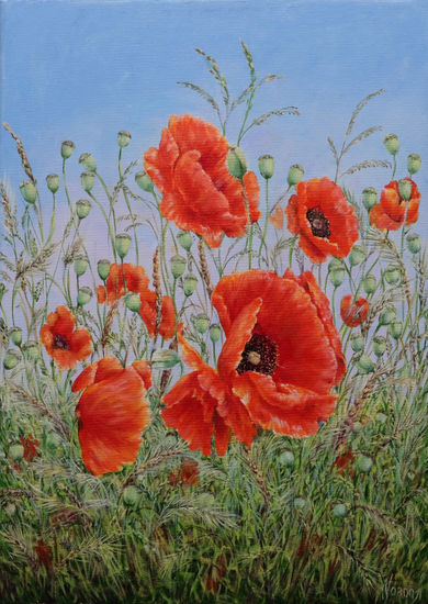 Amapolas. Oil Canvas Floral Painting