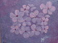 Florecillas tiernas
