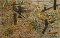 VENDIMIA Y COUPAGE (HARVEST AND COUPAGE)