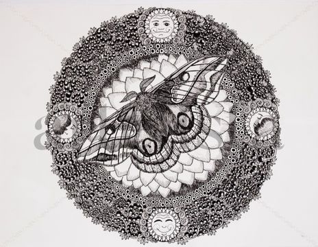 Nocturnalis