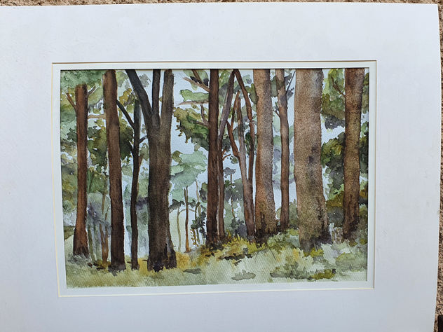 bosque encantado