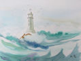 faro 10