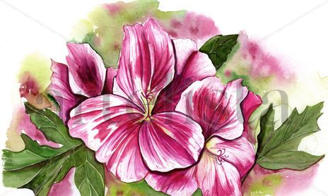 Floral