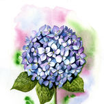 Floral thumbnail 2